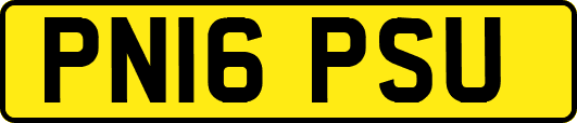 PN16PSU