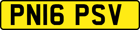 PN16PSV
