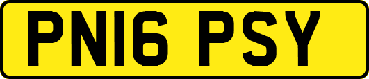 PN16PSY