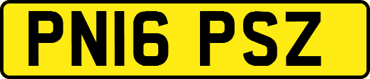 PN16PSZ