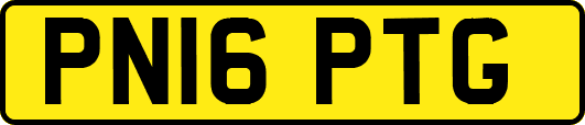 PN16PTG
