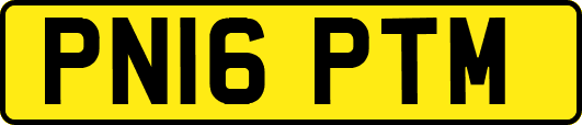 PN16PTM