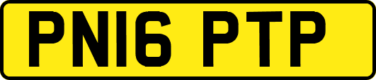PN16PTP