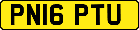 PN16PTU