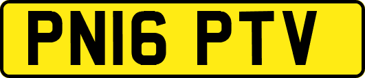 PN16PTV