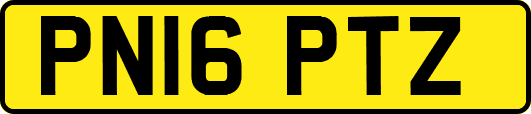 PN16PTZ