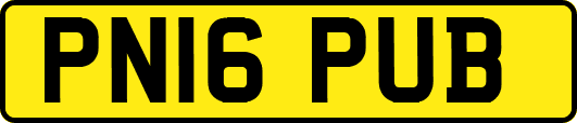 PN16PUB