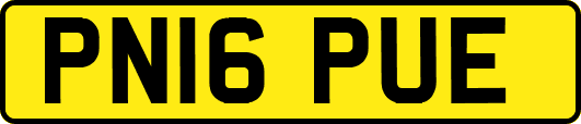 PN16PUE