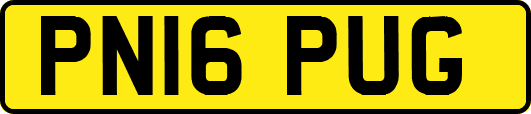 PN16PUG