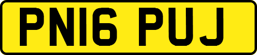 PN16PUJ