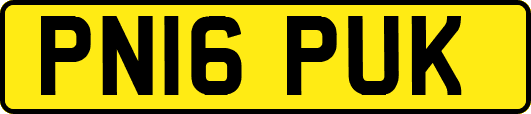 PN16PUK