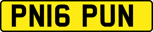 PN16PUN