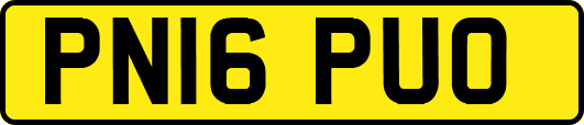 PN16PUO