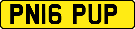 PN16PUP