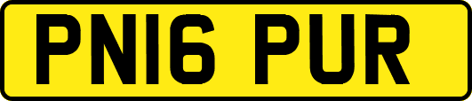 PN16PUR