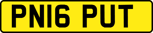 PN16PUT