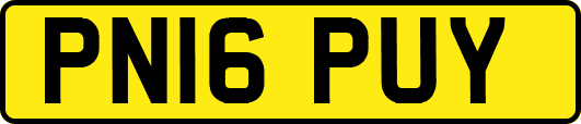 PN16PUY