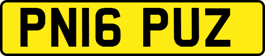 PN16PUZ