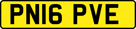 PN16PVE