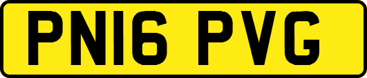 PN16PVG
