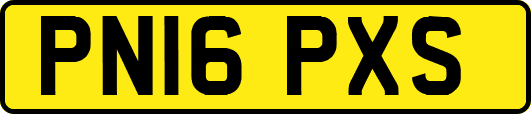 PN16PXS