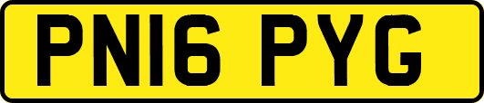 PN16PYG
