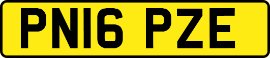 PN16PZE