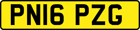 PN16PZG