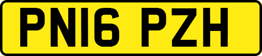 PN16PZH