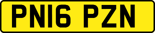 PN16PZN