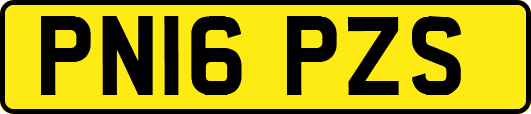 PN16PZS