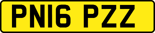 PN16PZZ