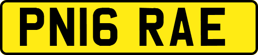 PN16RAE