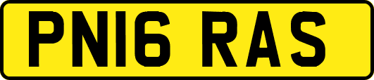 PN16RAS
