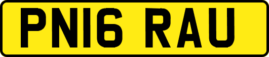 PN16RAU