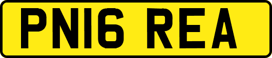 PN16REA
