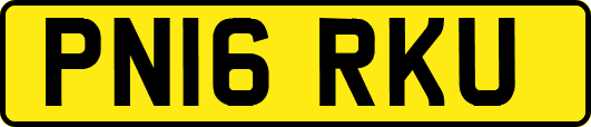 PN16RKU