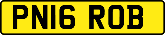 PN16ROB