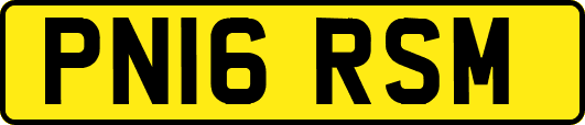 PN16RSM