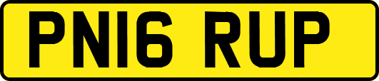 PN16RUP