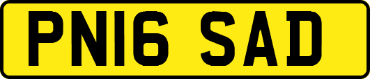 PN16SAD