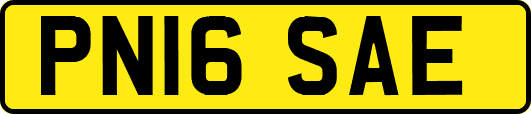 PN16SAE