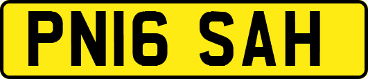 PN16SAH