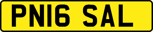 PN16SAL