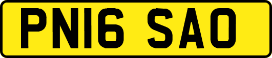 PN16SAO