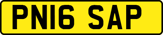 PN16SAP