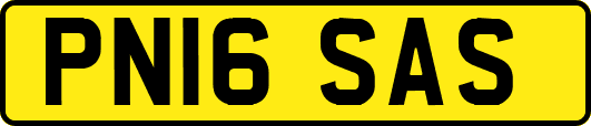 PN16SAS