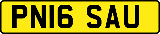 PN16SAU