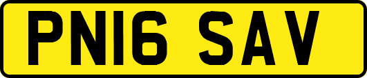 PN16SAV