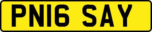 PN16SAY